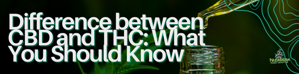 Visual guide on choosing the best cannabis strain tailored to individual requirements and desired effects.