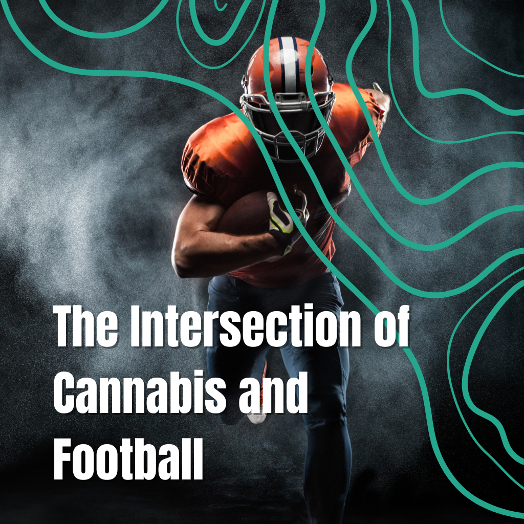 A football field with cannabis plants in the foreground, symbolizing the intersection of sports and cannabis culture.