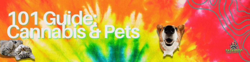 Cannabis and pets