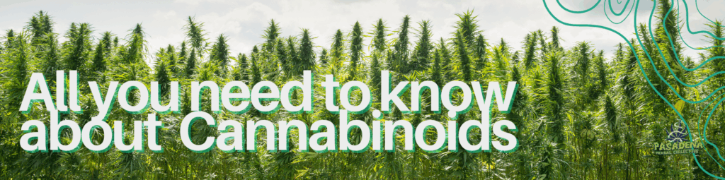 CBG article banner