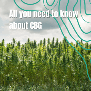 CBG article post