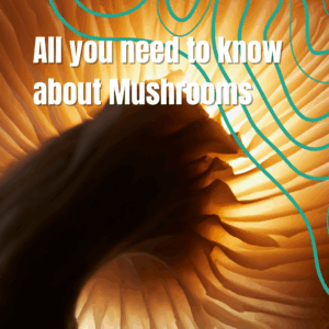 All you need to know about Mushrooms