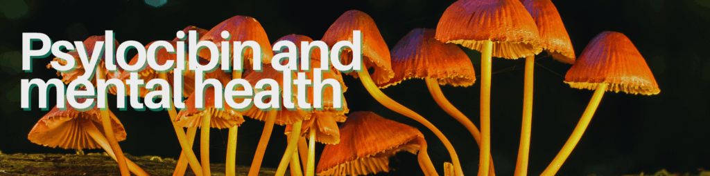 Shrooms and mental health