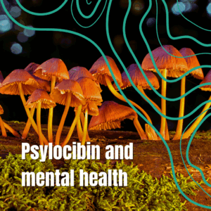 Blog about shrooms